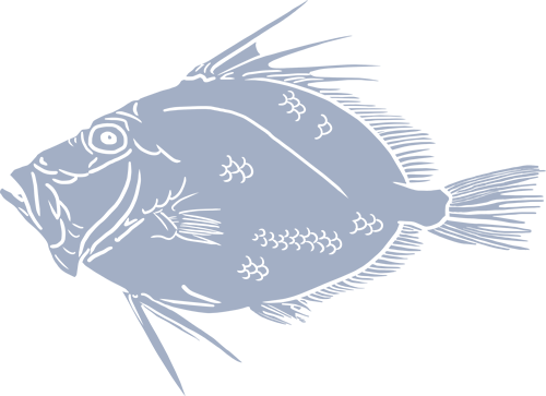 sp_500